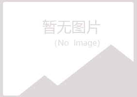 洪江晓夏咨询有限公司